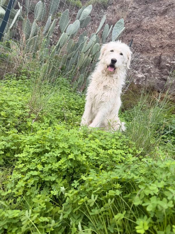 Stupenda Nuvola In Regalo